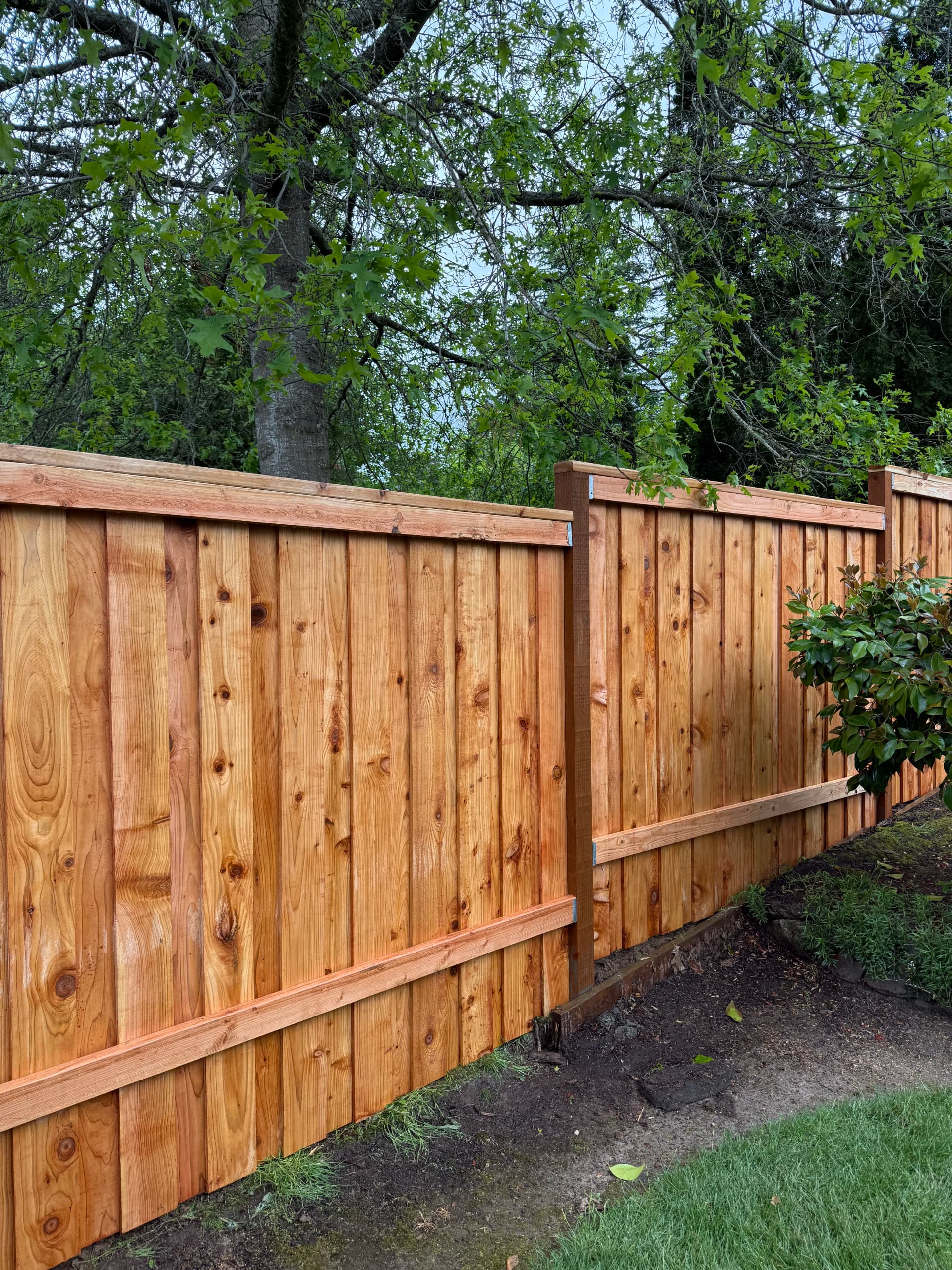 Stepped vs. Contoured Cedar Fencing - Which One is Right for Your Yard? image