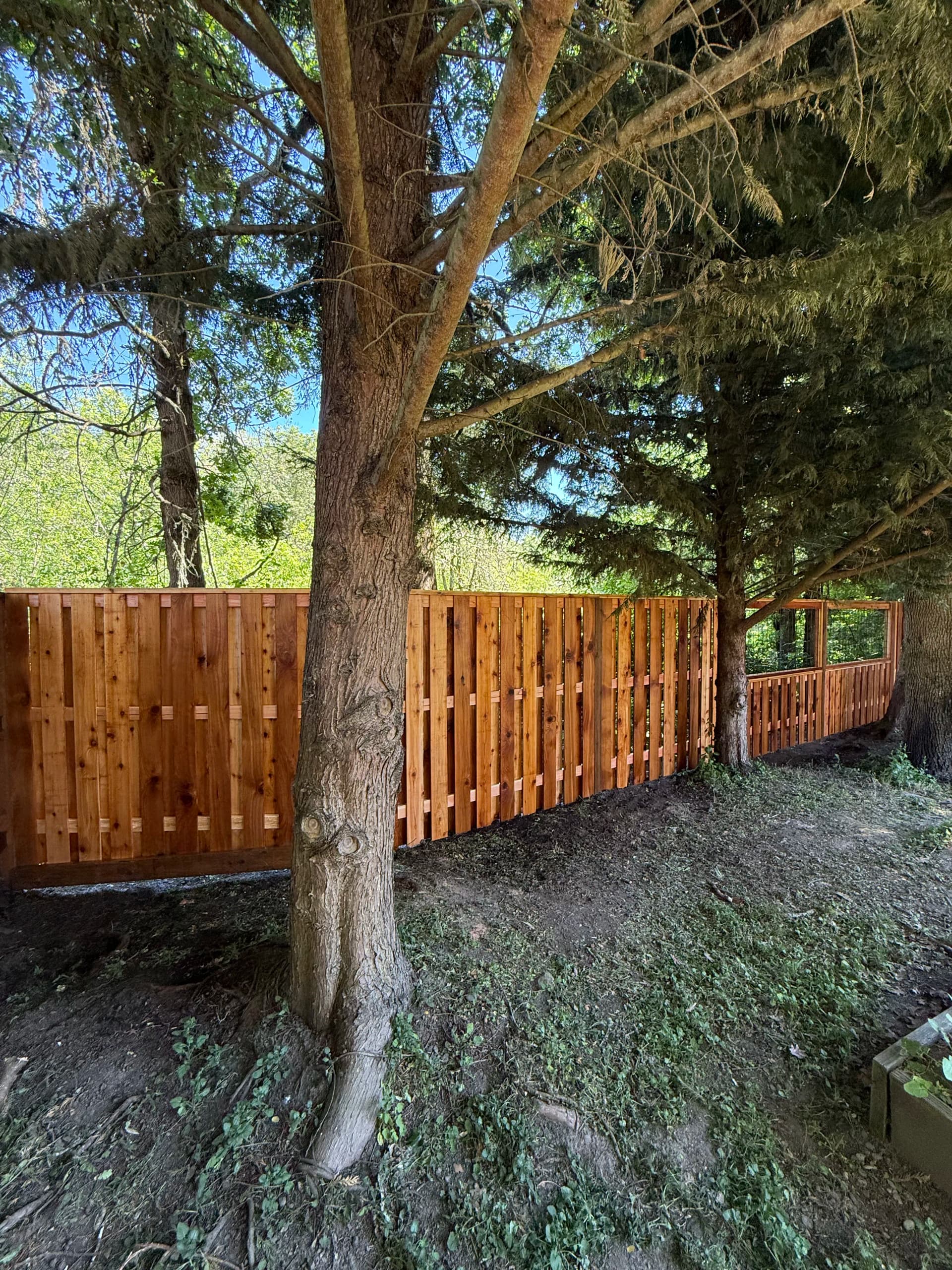 Gallery photos for Custom Cedar Fence Built for Privacy Without Blocking the View: Image #1