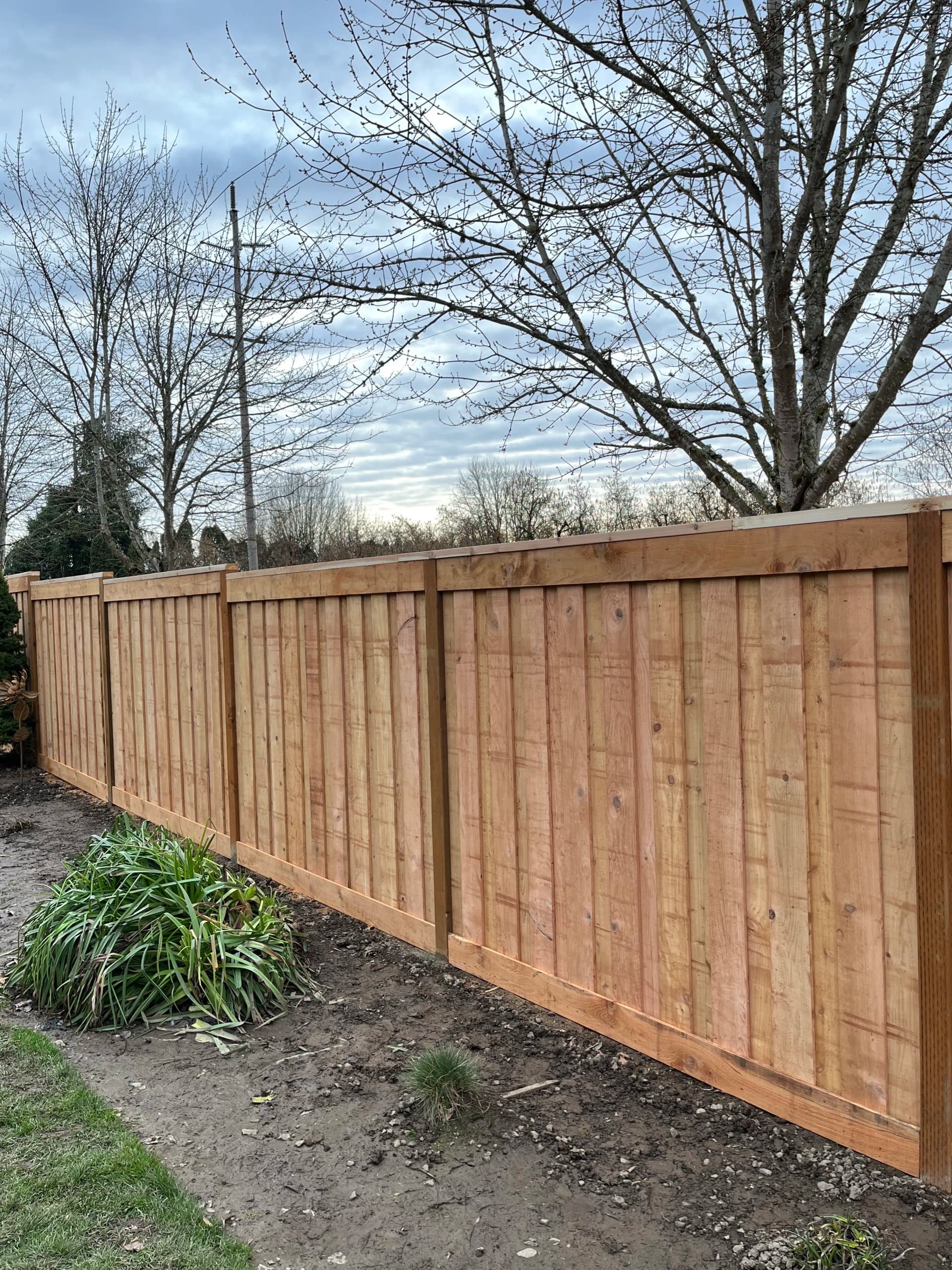 Gallery photos for Board-Over-Board Cedar Fence with Picture Frame Finish: Image #1