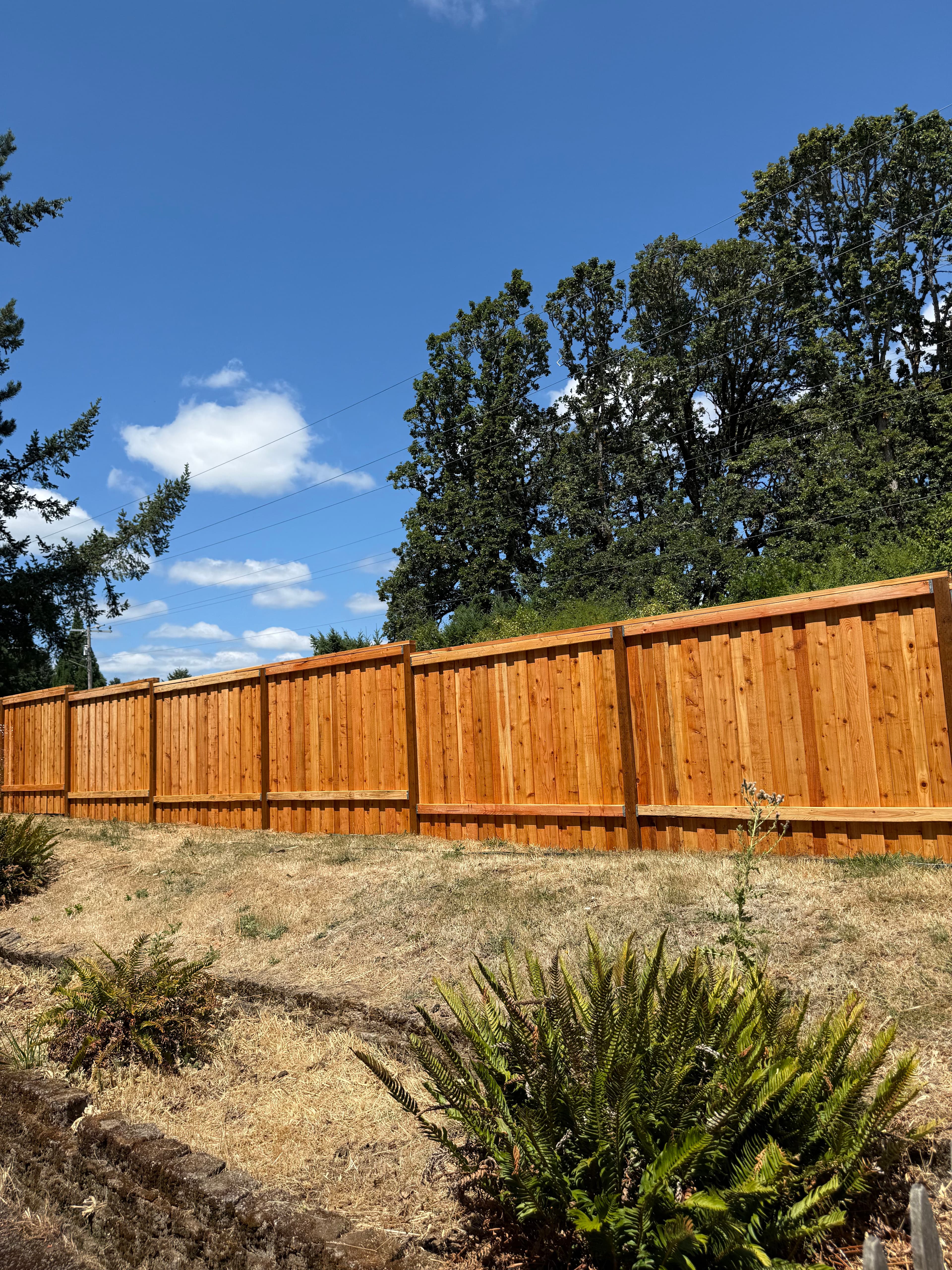Project Board-Over-Board Cedar Fence Installation in Portland Oregon image