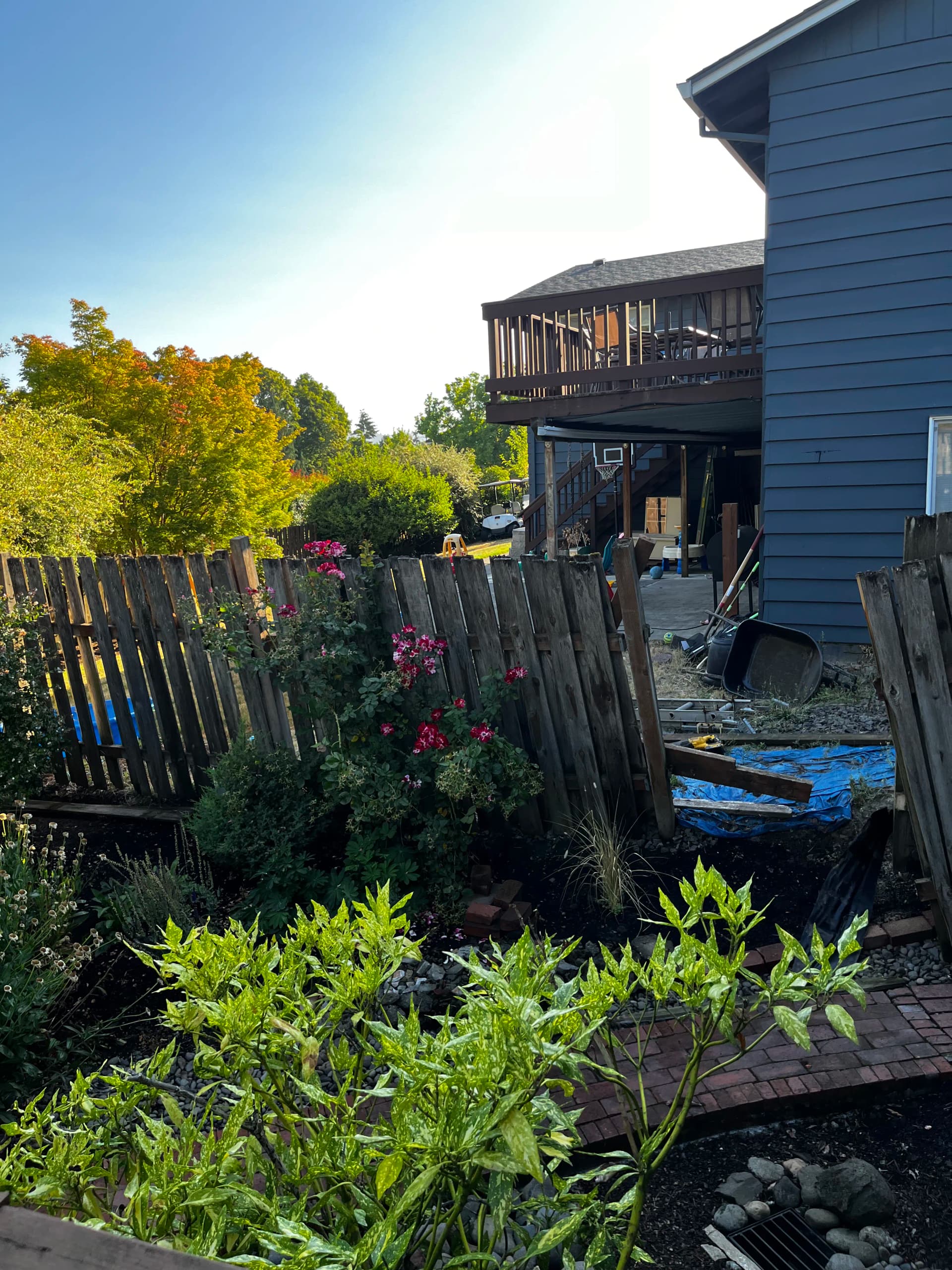 Gallery photos for Old Leaning Fence Replaced With a Solid Cedar Install in Beaverton: Image #3