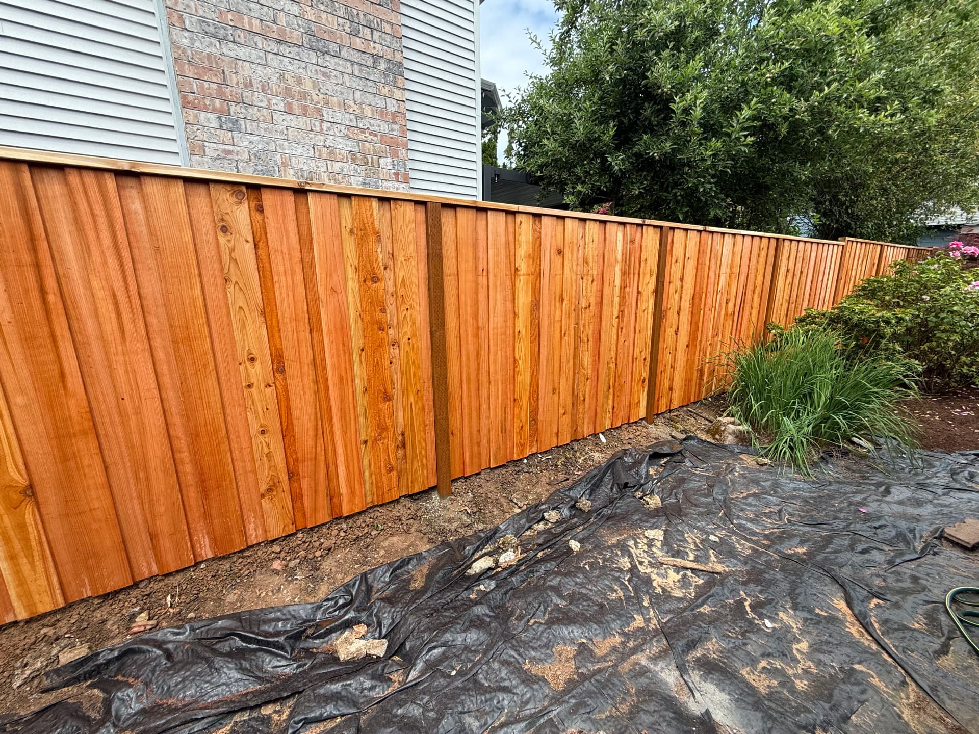 Board-on-Board Cedar Privacy Fence Built the Right Way image