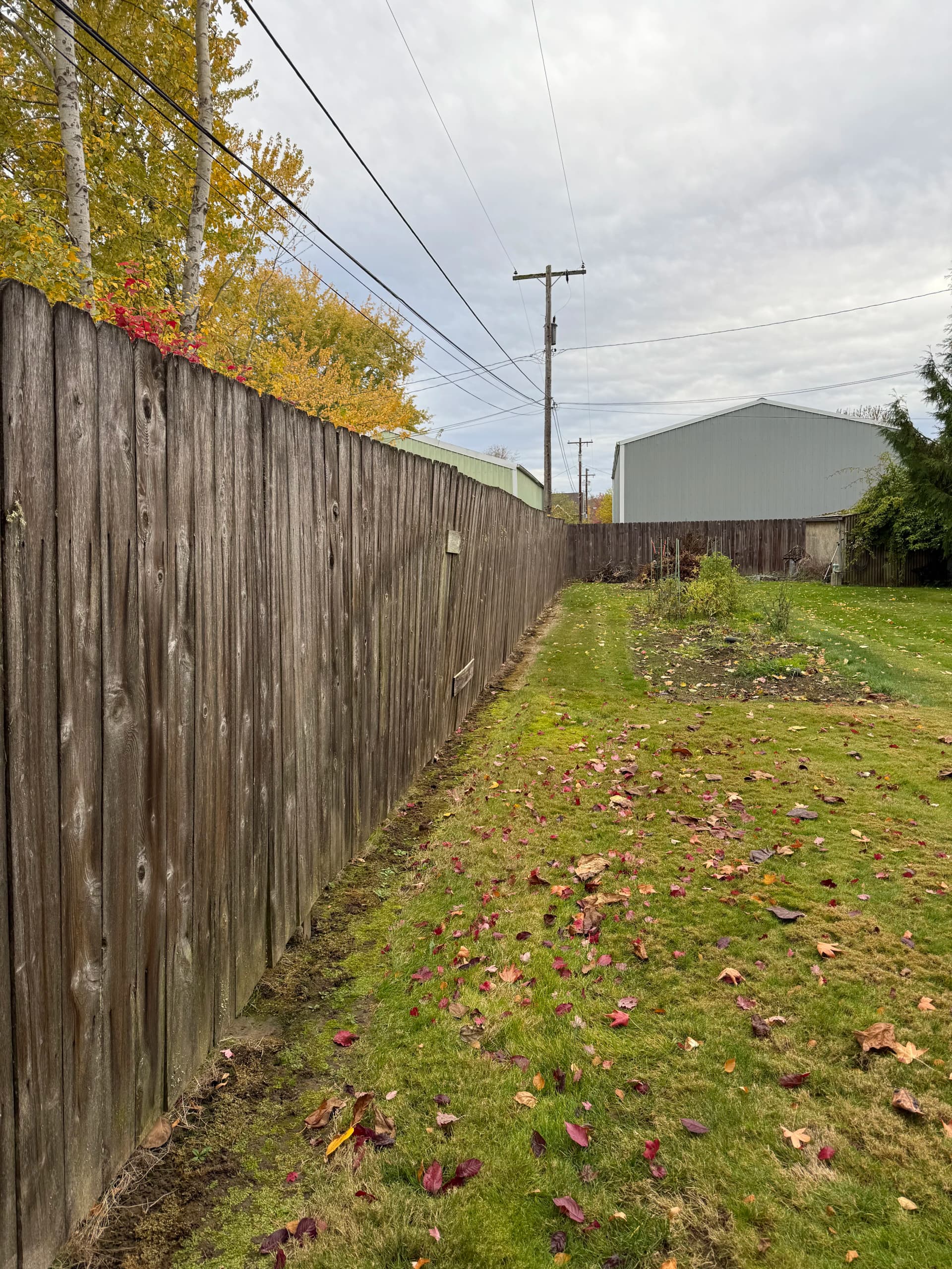 Gallery photos for Old Fence Out, Fresh Cedar In - What a Difference: Image #3