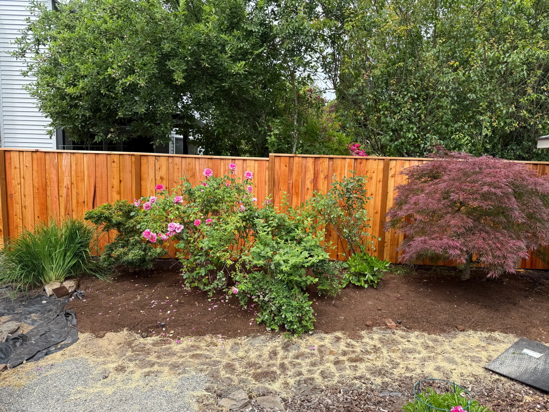Gallery photos for Board-on-Board Cedar Privacy Fence Built the Right Way: Image #1